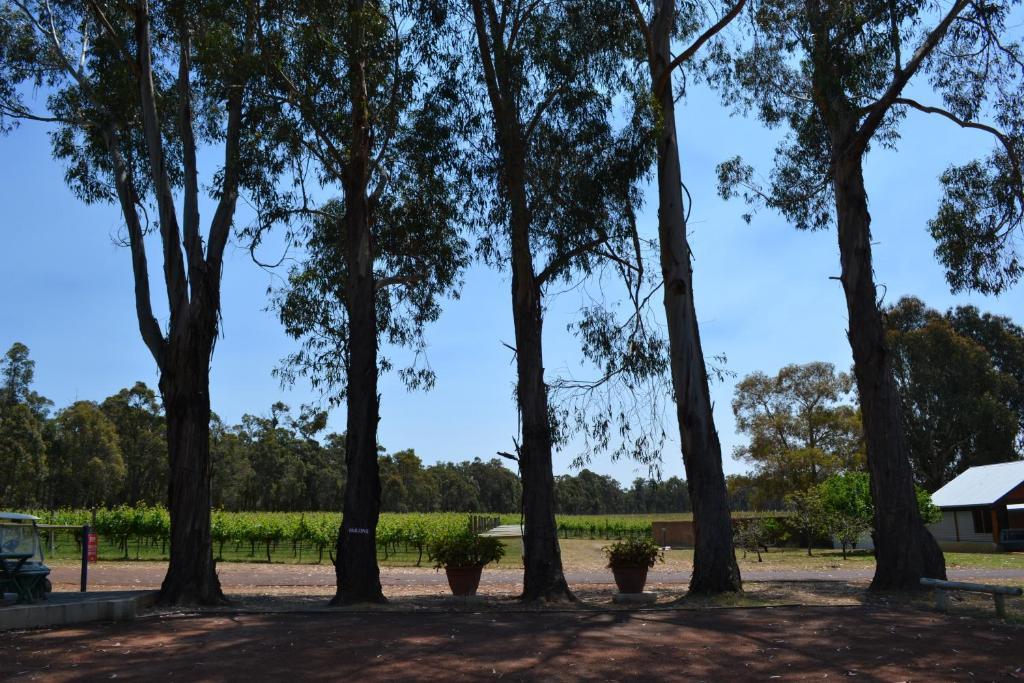 Island Brook Estate Winery And Chalets Margaret River Exterior foto